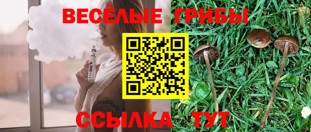 Галлюциногенные грибы мицелий Рязань